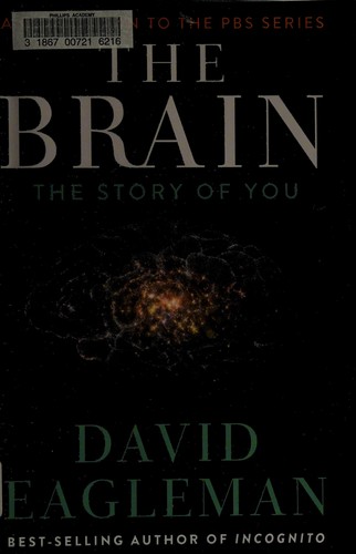 The Brain